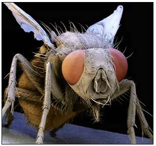 QQ��ͼ20181122173122.png QQ��ͼ20181122173122.png