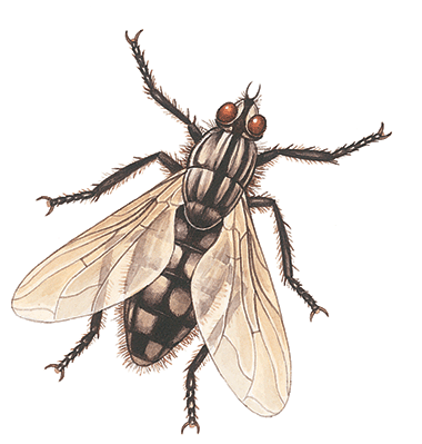 QQ��ͼ20181122173134.png QQ��ͼ20181122173134.png