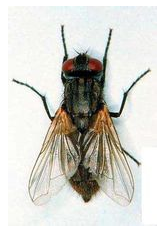 QQ��ͼ20181122173139.png QQ��ͼ20181122173139.png