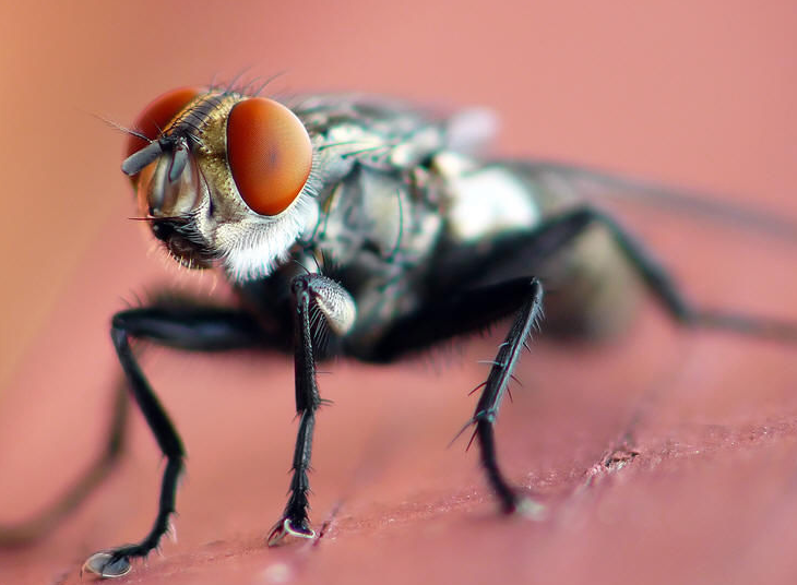 QQ��ͼ20181128134210.png QQ��ͼ20181128134210.png