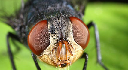 ��.png ��.png