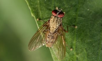 ��.png ��.png