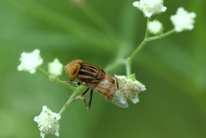 ��.png ��.png