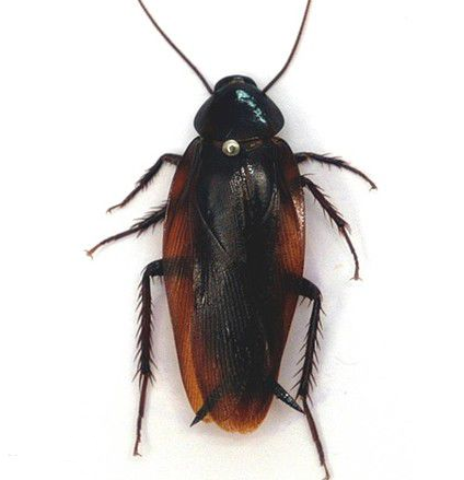 ��.png ��.png