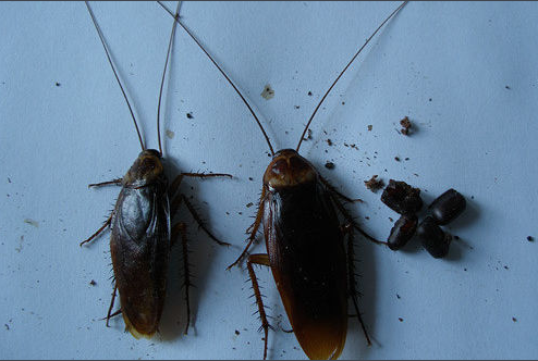 ��.png ��.png