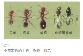 ����.png ����.png