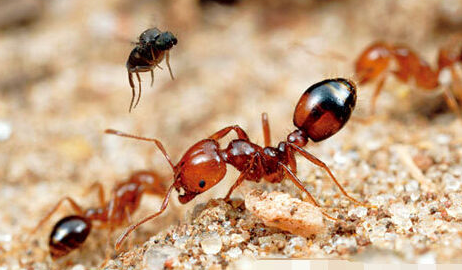 ��.png ��.png