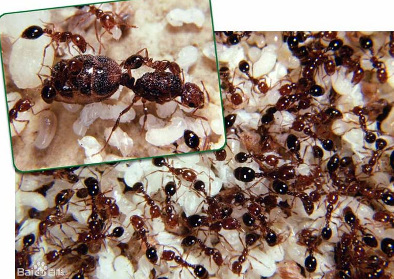 ��.png ��.png