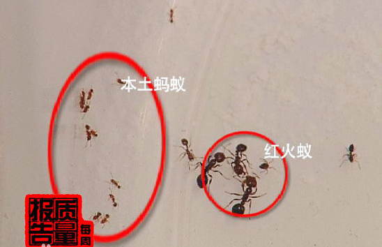 ��.png ��.png