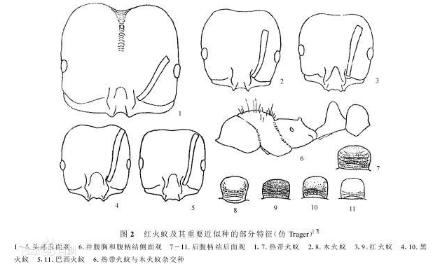 ��.png ��.png