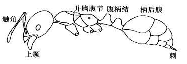 ����.png ����.png