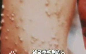 ��.png ��.png