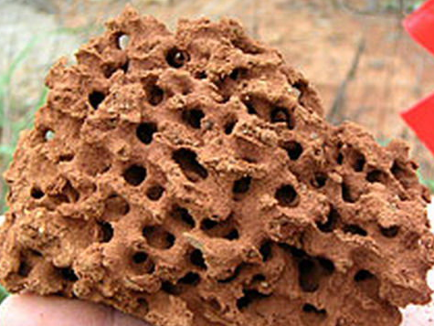 ��.png ��.png