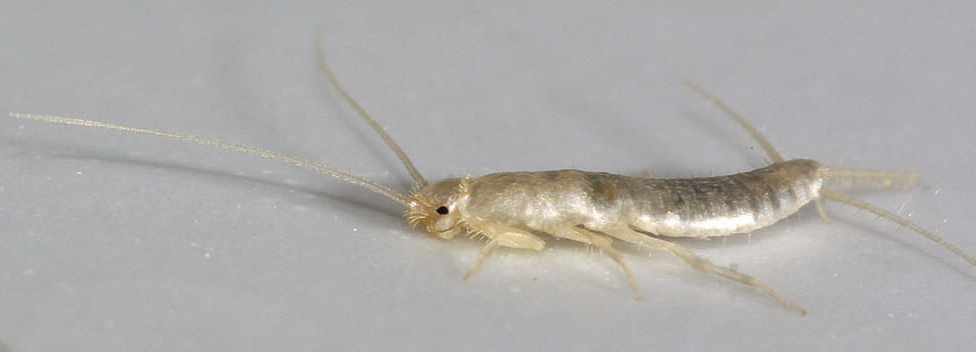 ��.png ��.png